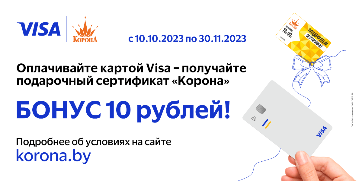Бонус 10 рублей при оплате картой VISA!