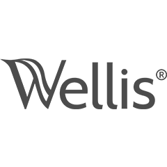 Логотип магазина: Wellis